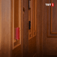 Oyuna başlamadan önce ilk olarak neyi kontrol edersiniz?