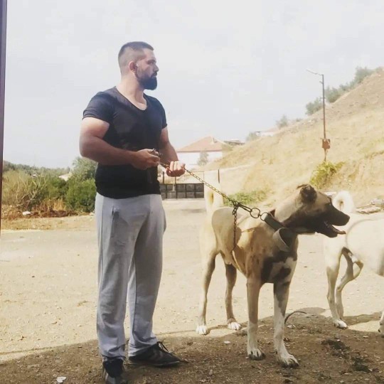 Kötü bir gece geçirdiğimi anlayıp yanıma yatan bir kedim var. Daha ne isteyebilirim ki?