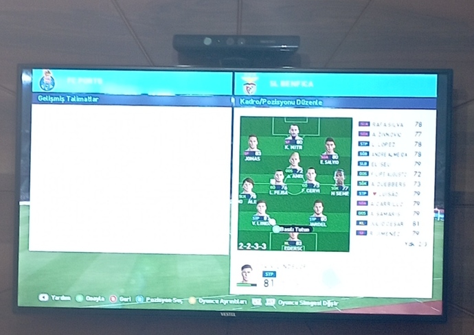 Benim kuzularım birlikte oyun oynuyor..