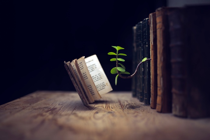 Her güzel kitap, mutlaka okunmalıdır.