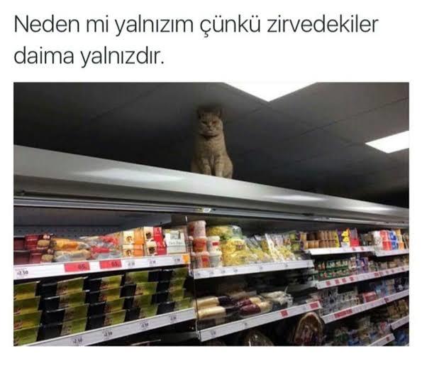 Sizce Neden yanlizsiniz?