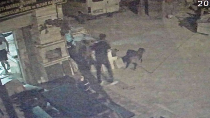 Antalya'da bir köpeği tabancayla öldüren şahıs yakalandı! Sizce ne ceza verilmeli?