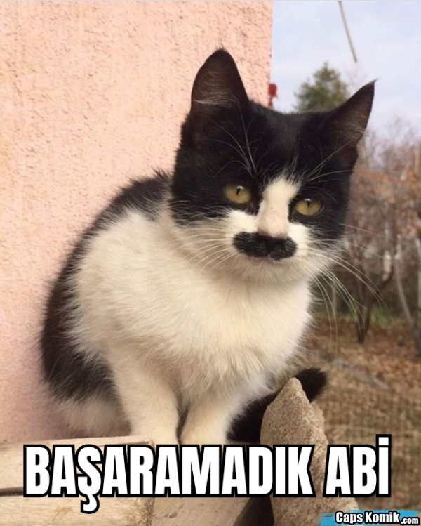Evlilik bir başarı sayılabilir mi?