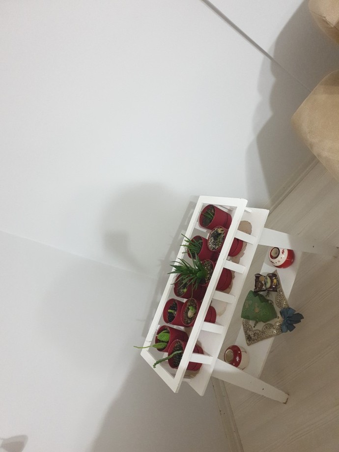 Evinizin hangi bölümünde çiçekleriniz var?