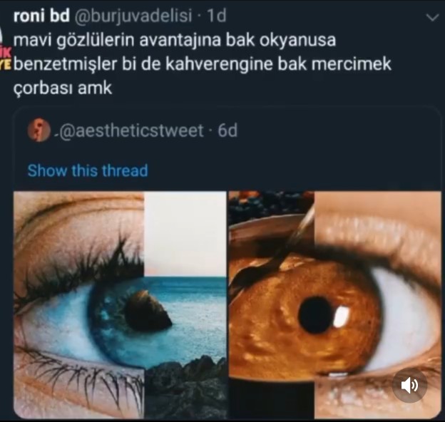 Gözünüz hangi renk?