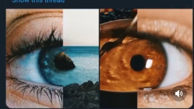 Gözünüz hangi renk?
