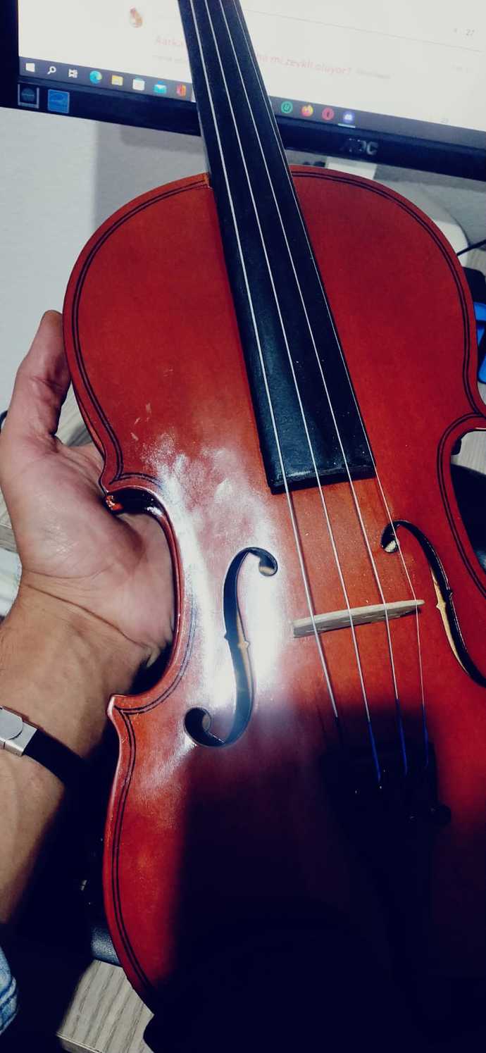 Keman eğitimi için, önerebileceğiniz ek tavsiye ve bilgi rica edebilir miyim?