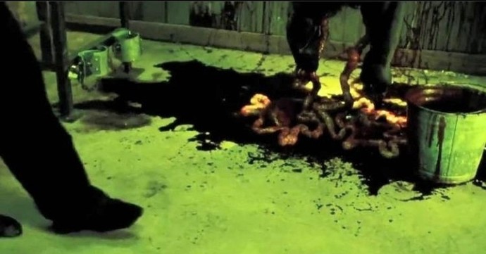 Hangi film veya dizide rol almak isterdiniz?