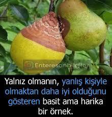 Senin gibi birinin neden sevgilisi yok?