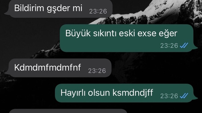 Sizce iyi yapmışmıyım?