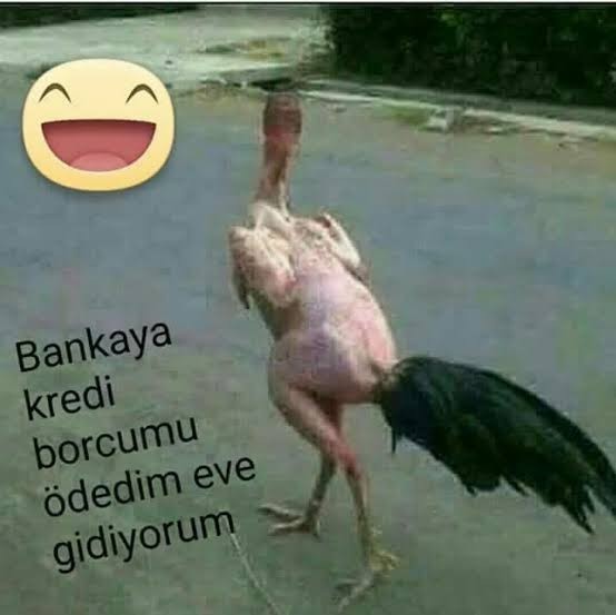 Erkekler neden kadınlardan kısa ömürlü oluyor?