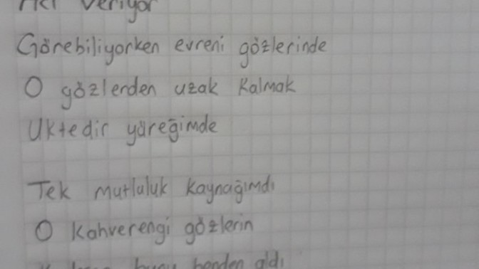 Neden hep uğruna şiirler yazdıklarımız giderler?