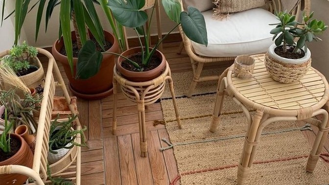 Ev dekorasyonuna en çok yakıştırdığınız ve sevdiğiniz bitki hangisi?