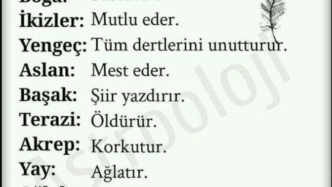 Sizin burcunuz bir bakışıyla ne yaparmış🤭?