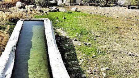 Yalak insan mı ciddi insan mı?