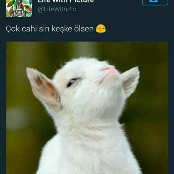 Kızlar neden özel günleri unutunca trip atıyor?