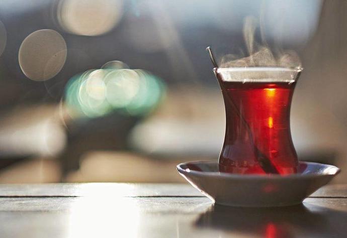 Çay içmeyi sever misiniz?