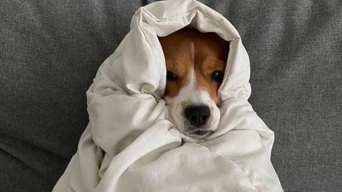1 hafta dışarı çıkmasam koymaz... Evde vakit geçirmeyi çok sevmek garip bir şey mi?