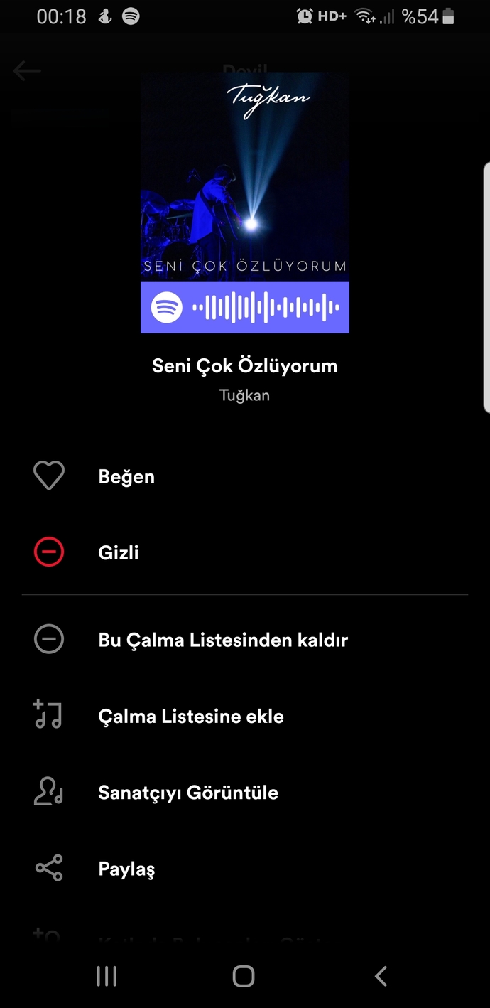 Spotifyde açık listede tek 1 şarkının gizli olması ne demek, nasıl oluyor?