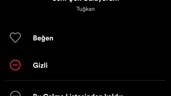Spotify'de açık listede tek 1 şarkının gizli olması ne demek, nasıl oluyor?