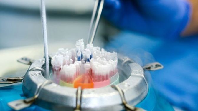 Sperm bankasından çocuk yapmak çok mantıklı gelmeye başladı. Siz ne düşünüyorsunuz?