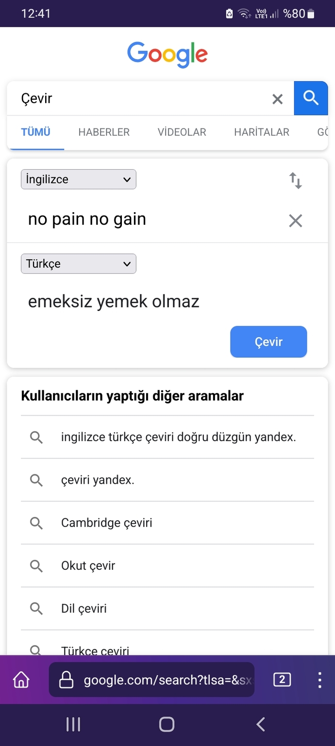 No pain no gain ne demek?