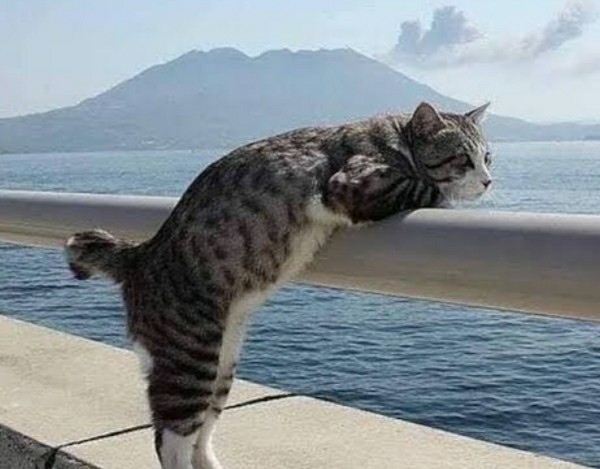 Hayat size neyi ifade ediyor?