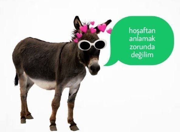 Galerinizdeki en son fotoğraf nedir 🤷‍♀️?