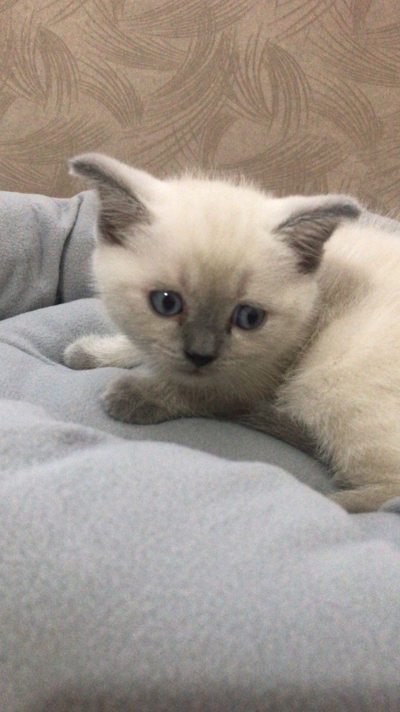 Galerinizdeki en son fotoğraf nedir 🤷‍♀️?