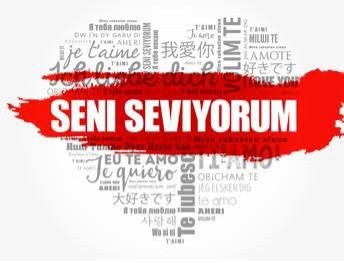 Seni Seviyorum ?