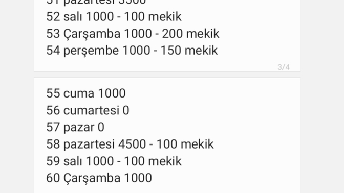 13 dakikada 800 şınav çektim, yeni rekorum iyi mi?