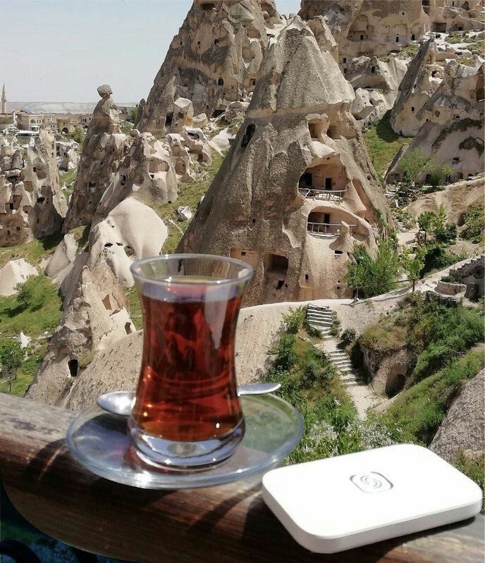 Siyah çay mı, yeşil çay mı?