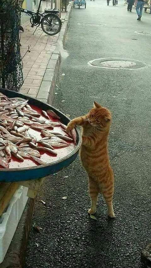 Gastriti olanlar ne sıklıkla yasak yiyecek ve içecekleri tüketebillir?