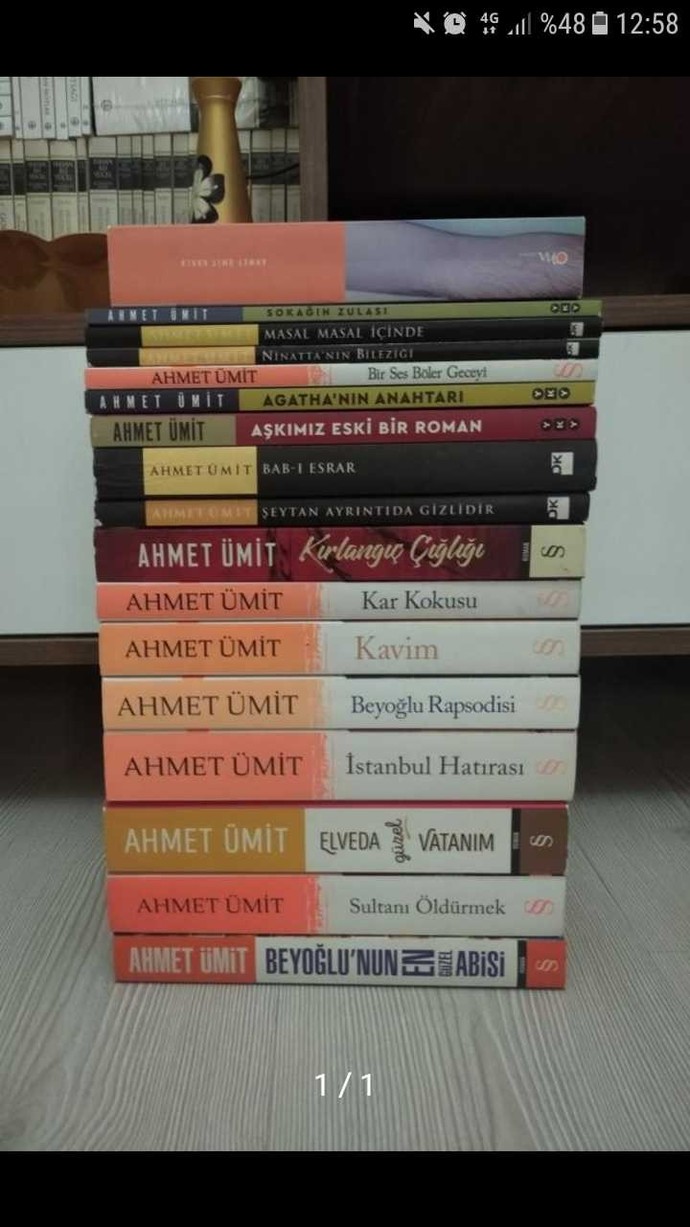 Ahmet ümitin bu kitaplarini 300 tl almak mantikli mi?