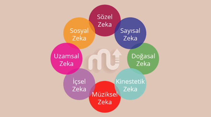 Sizde hangi zeka türü baskın?