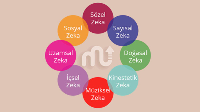 Sizde hangi zeka türü baskın?