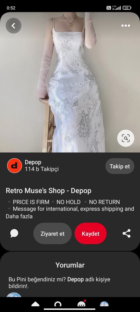 Bu tarzın adı ne?