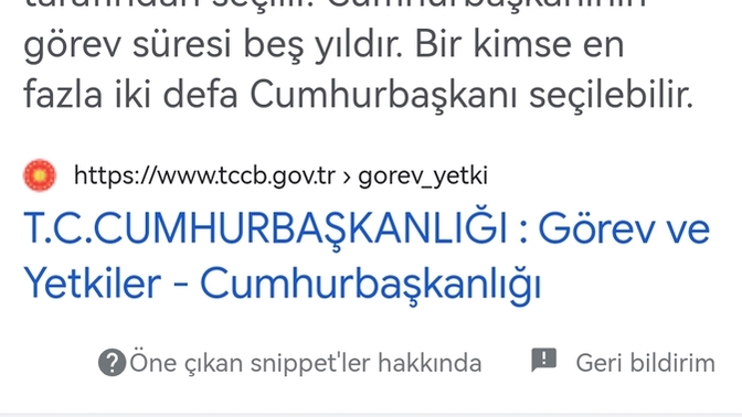 RTE yeniden aday olabilir mi?