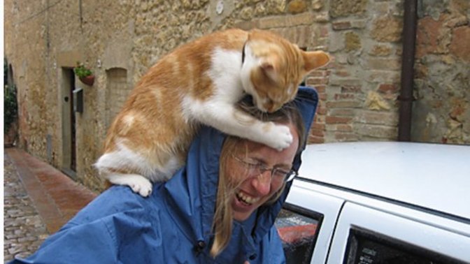 Okumııycak bu çocuk, bari çalışsın! 😂Kedi maması fiyatlarına bakıp kedinizi sanayiye vermeyi düşünür müsünüz?
