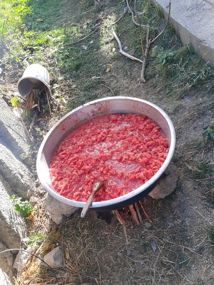 Menemen 
