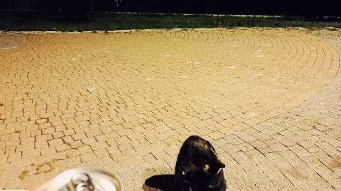 Gece demek senin için ne demek?