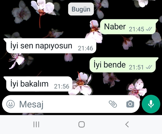 Konuşma kapanıyor ne diyerek devam ettirebilirim?