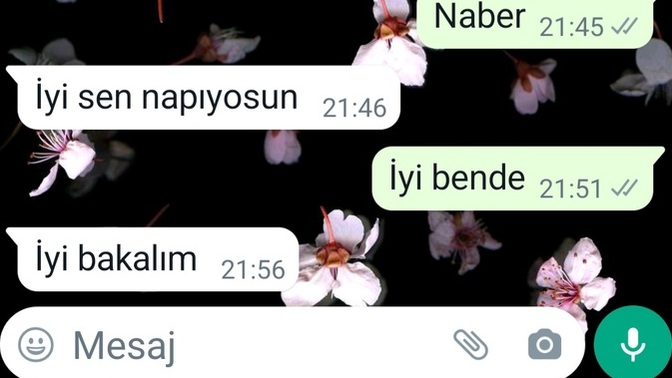 Konuşma kapanıyor ne diyerek devam ettirebilirim?