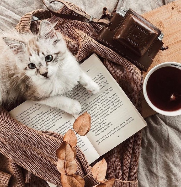 Kitap okumadığınızda eksikliğini hisseder misiniz? Yoksa varlığı yokluğu bir mi sizin için?