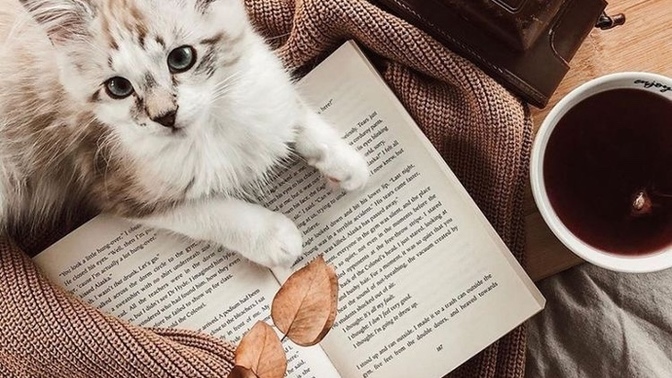 Kitap okumadığınızda eksikliğini hisseder misiniz? Yoksa varlığı yokluğu bir mi sizin için?
