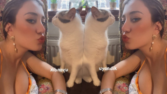 Evcil hayvanınız var mı, varsa fotoğrafını atar mısınız?