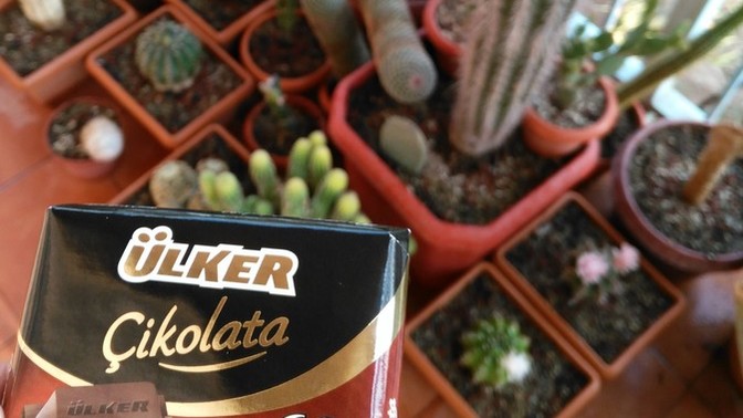 Bitter Çikolata mı Diğer Çikolatalar mı?