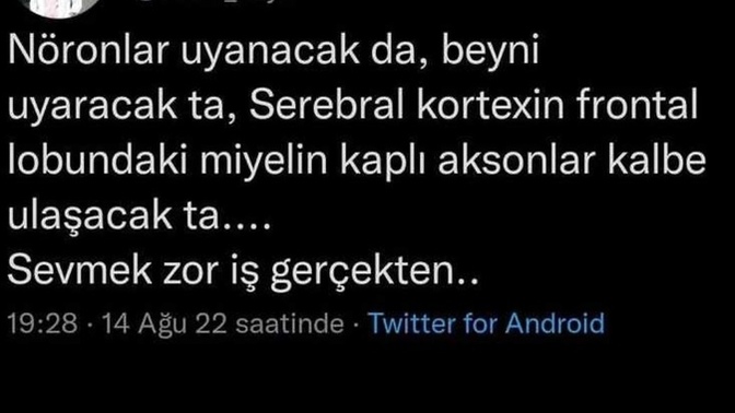 Sevmek zor iş mi?