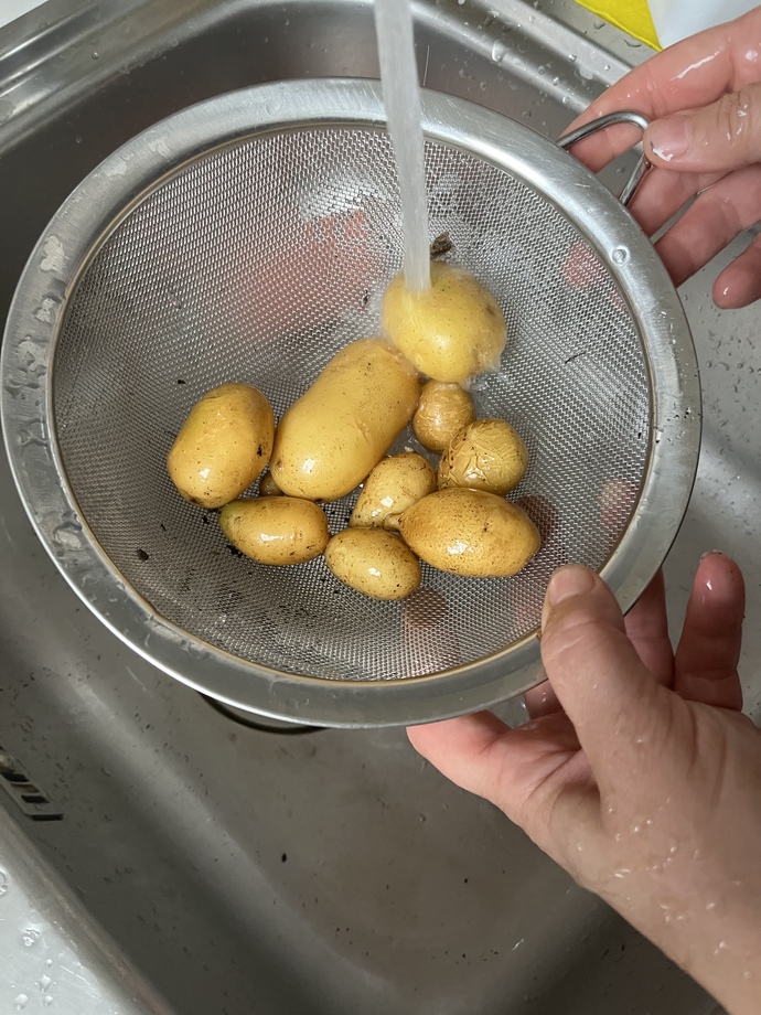 Kendi balkonumda yetiştirdiğim patateslerim nasıl?