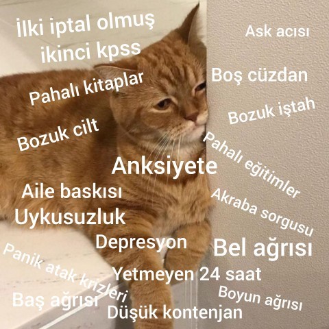 Can sıkıntısı ve moral bozukluğu için öneriniz var mı?